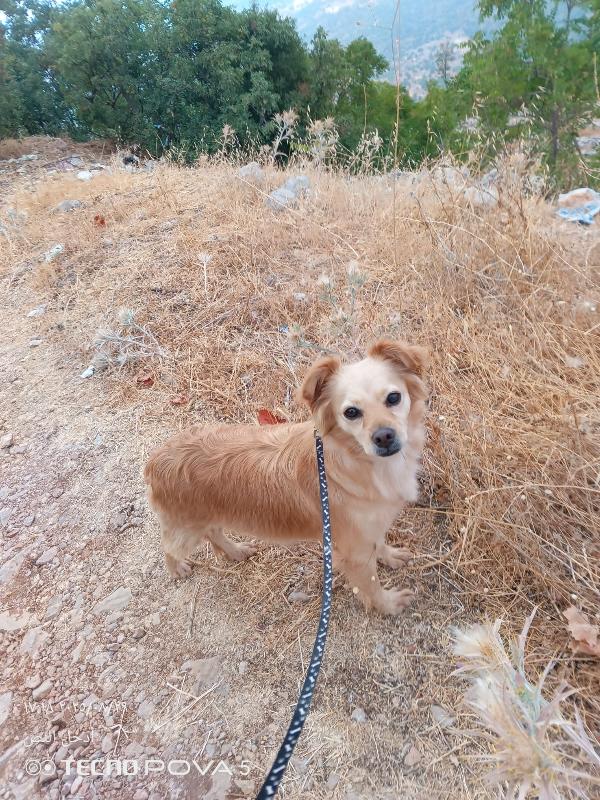 Najma, dolce meticcia Foto 2